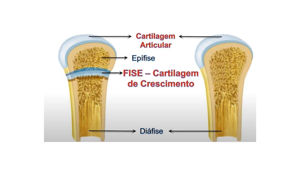 Musculação em crianças