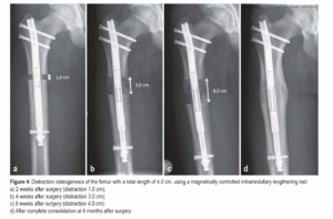 Screenshot 2025-09-25 at 08.51.31